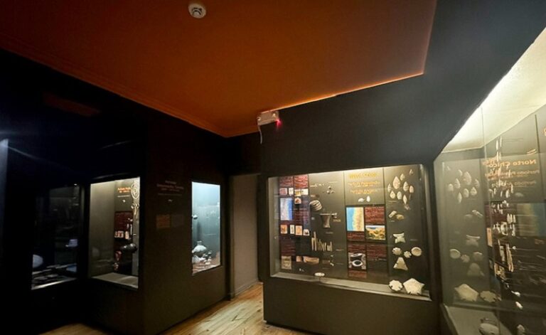Museo Fonck instalará nueva iluminación en 4 salas de exhibición